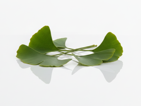 Extrait de Ginkgo Biloba