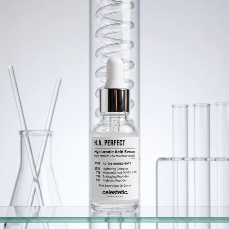H.A. Perfect  - galerie